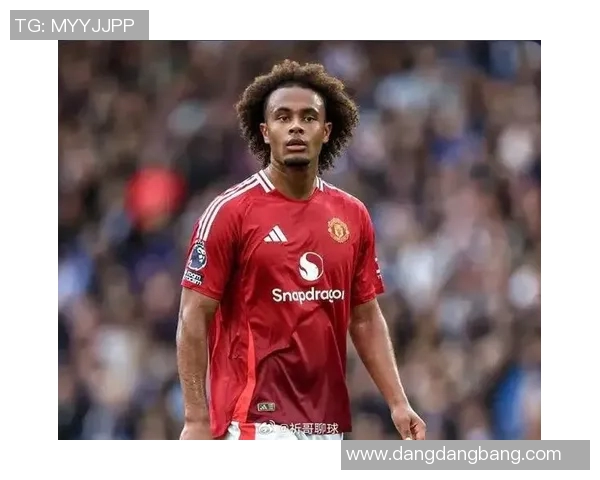 罗马加速引进齐尔克泽曼联标价3500万欧元引关注